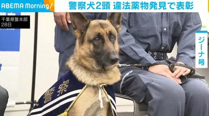 ジーナ号