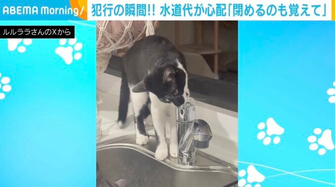 「えるる」くん