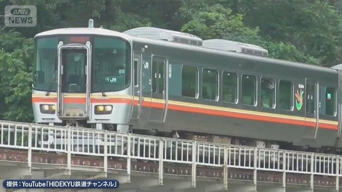 暑さで連日運転見合わせ…大都市圏では起きづらい？「レール」に秘密 1枚目
