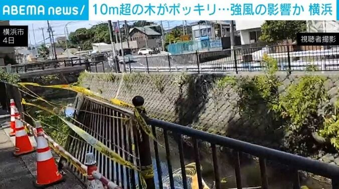 横浜市