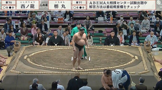 土俵下に落下した栃丸がまさかの行動
