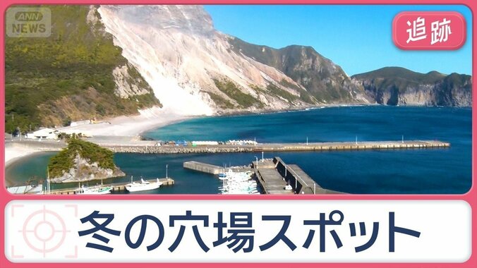 冬こそ狙い目！東京の離島　島グルメに温泉も…行き先不明「ミステリーきっぷ」とは？ 1枚目