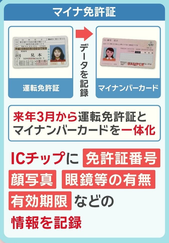 マイナ免許証