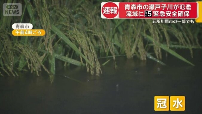 田んぼが冠水