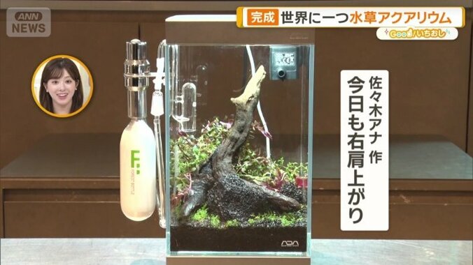 「今日も右肩上がり」