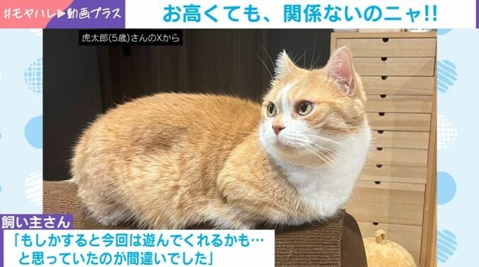 虎太郎くん