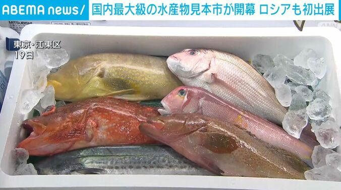 魚