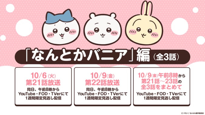 アニメ『ちいかわ』10月からリバイバル放送決定！地上波と配信で人気シリーズを一挙配信 2枚目