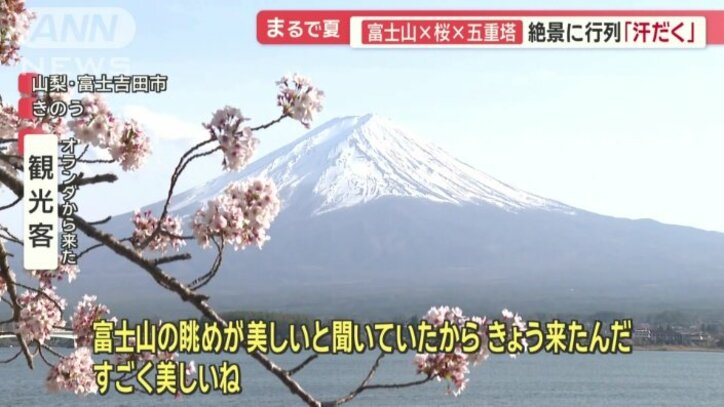 「富士山の眺めが美しいと聞いて来た」
