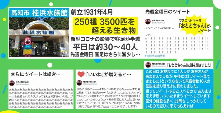 まさかの客1人！？水族館の自虐ツイートが話題に「スタッフ8人vsお客様1人 ファイッ！！」