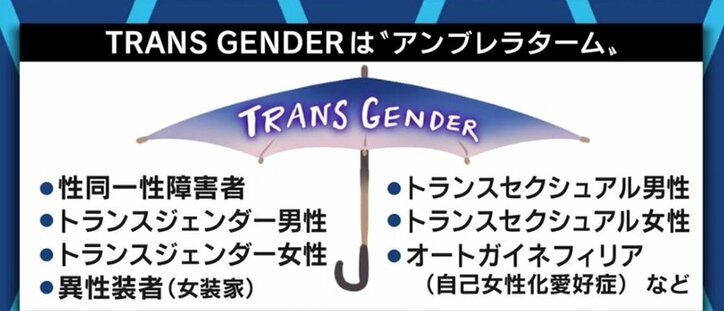 LGBT法案 自民党が条件つきで了承も議員たちの問題発言で浮き彫りになった“社会の理解不足”