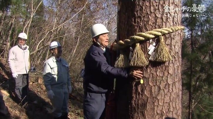 「天守だけが城じゃない」名古屋城の木造天守復元を目指す河村たかし市長と、石垣保護を訴える研究者たちの戦い