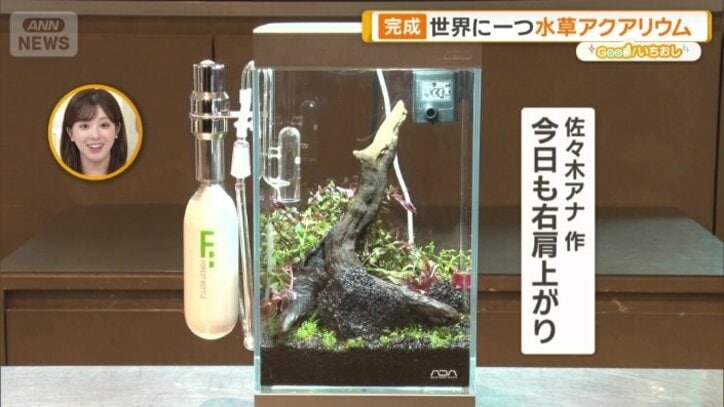 「今日も右肩上がり」