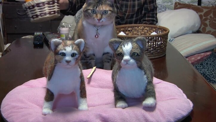 「前の猫は一体…？」長野・安曇野の猫が大集合　美しい風景＆猫にまったり癒されるにゃ