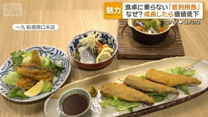 コノシロを使った料理