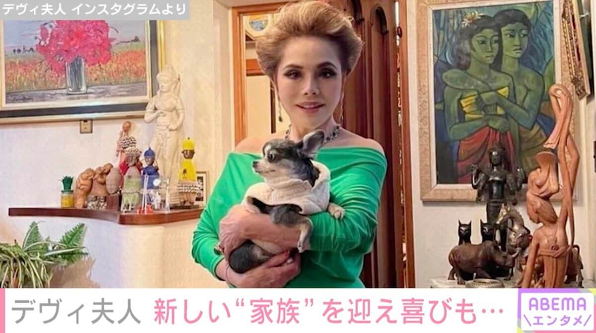デヴィ 夫人 犬