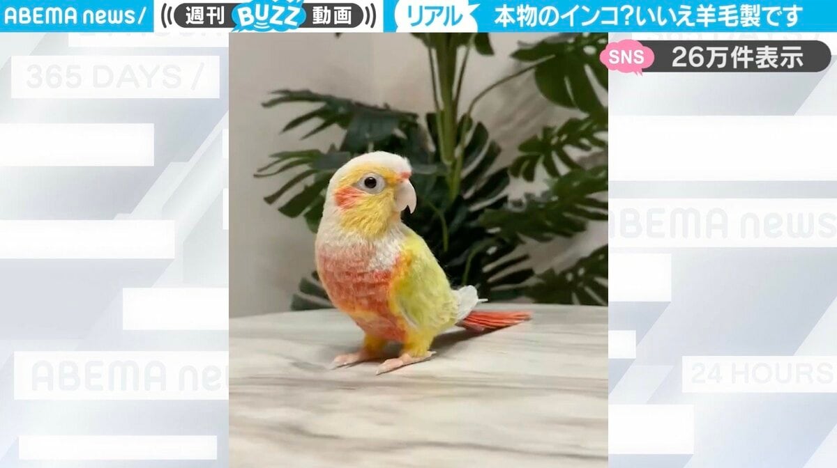 lili様専用】羊毛フェルト インコちゃん （インコ - フェルトの
