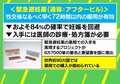 高校生認知度は約20%とも「望まない妊娠」最後の手段・緊急避妊薬に求められる正しい知識と価格設定