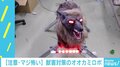 害獣対策ロボットが「怖すぎる」と話題、切り札に“人の声”も