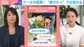 “娘ガチャ”で父親が変わる？娘を持つと父親のジェンダー平等志向に変化…3万人データが証明！EVeM滝川氏「娘の進学や就職に直面すると変わっていくのでは」