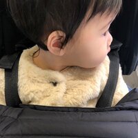 平野ノラ『急』