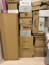 平野ノラ『爆買い中』