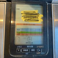 やっちょ『衝撃の体重』