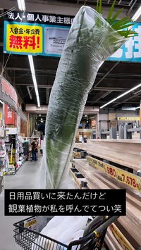 GENKING『放置しすぎてました笑』