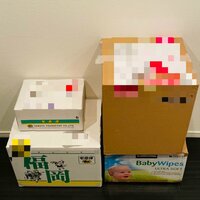 だいたひかる『助かる品』