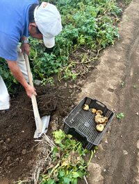 北斗晶『妹の花』
