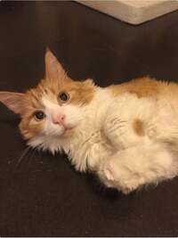 遠野なぎこ『『要は自分の“思考”次第』』