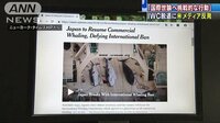国際ニュース - 米紙がIWC脱退批判 捕鯨拠点と総理の選挙区絡め… | 動画視聴は【Abemaビデオ(AbemaTV)】