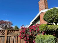 アグネス・チャン『長男の新しい家』