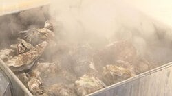 3連休ご当地グルメ求め大行列　熱々カキ汁に北海道の味覚集結　物価高もプチぜいたく