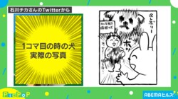 速すぎて見えない!? 帰省した投稿主に犬が大興奮「我が家も…」「愛が強すぎ」