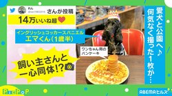 「声出して笑いましたww」飼い犬との合体に成功した写真が「違ワン感がない」と話題