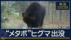 “メタボ”な個体も…GWも各地でクマ出没　秋田県で男性けが