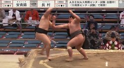 19歳規格外力士、デビューからの連勝「20」でストップ 館内にどよめき