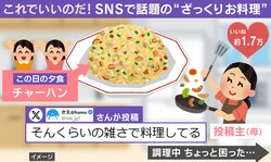 チャーハンがしょっぱい→母がとった行動に「これは雑じゃない」「結果的においしくなる不思議」と反響続々