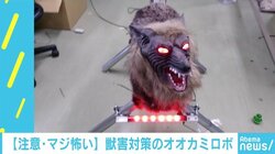 害獣対策ロボットが「怖すぎる」と話題、切り札に“人の声”も