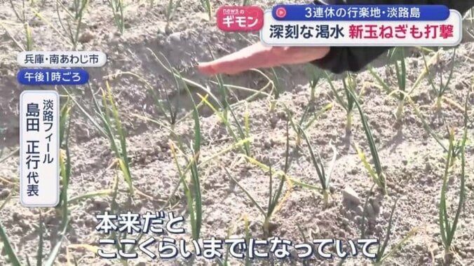 「本来だと、ここくらいまでになっていて」