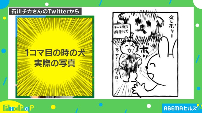 速すぎて見えない!? 帰省した投稿主に犬が大興奮「我が家も…」「愛が強すぎ」 1枚目