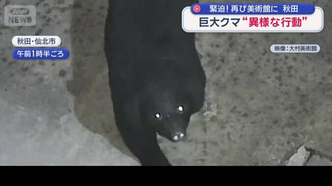 美術館に現れたクマ