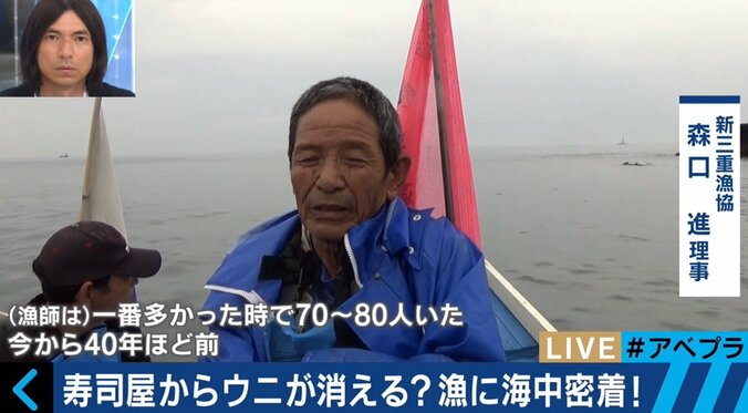 寿司屋からウニが消える？漁獲量を減少させる「磯焼け」とは 3枚目