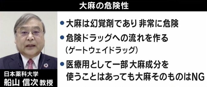 厚労省が法改正を検討 “大麻使用罪”創設は必要か 3枚目