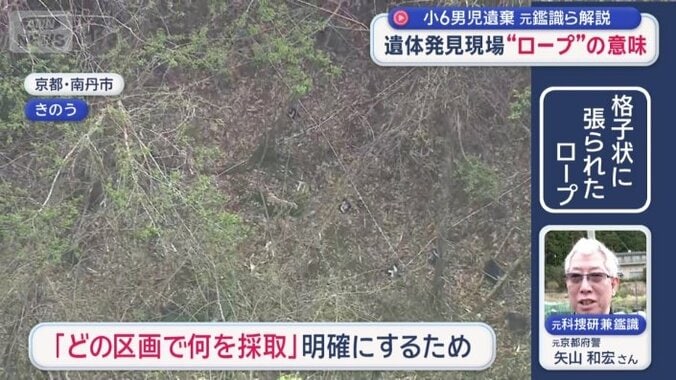 格子状に張られたロープ