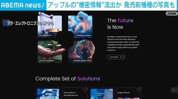 タタ・エレクトロニクスのHP