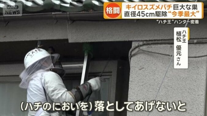 「来年に巣を作られる可能性が高くなる」