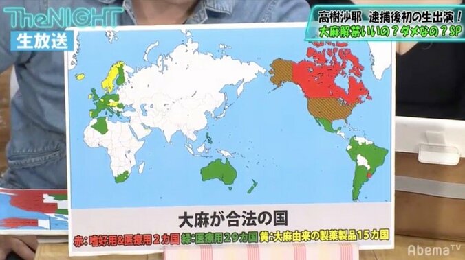 「医療大麻」は何が問題なのか、解禁の是非は？ “賛成派”高樹沙耶、“反対派”フィフィらが激論 6枚目