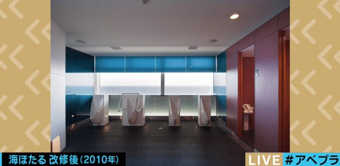 「トイレをおしゃれに」日本トイレ協会が唯一認めるデザイナー・小林純子さん、驚きのデザインの裏側 3枚目